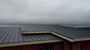 Best Roof Moss and Algae Removal  in Klamath Falls, OR